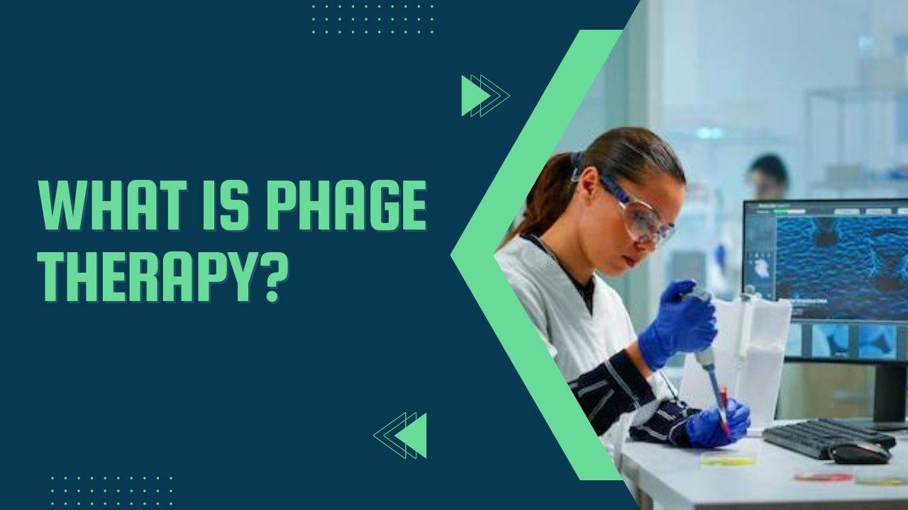 What is Phage therapy? Nerdyinfo