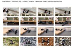 The next generation robot