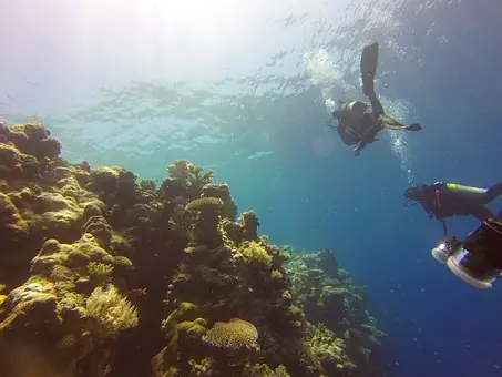 Coastal Hypoxia and coral reefs