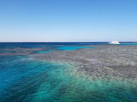Coastal Hypoxia and marine life