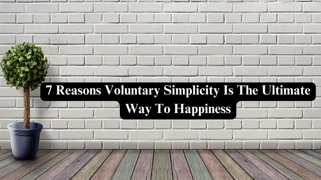 7 Reasons Voluntary Simplicity Is The Ultimate Way To Happiness - Nerdyinfo