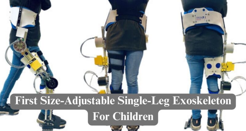 First Size-Adjustable Single-Leg Exoskeleton