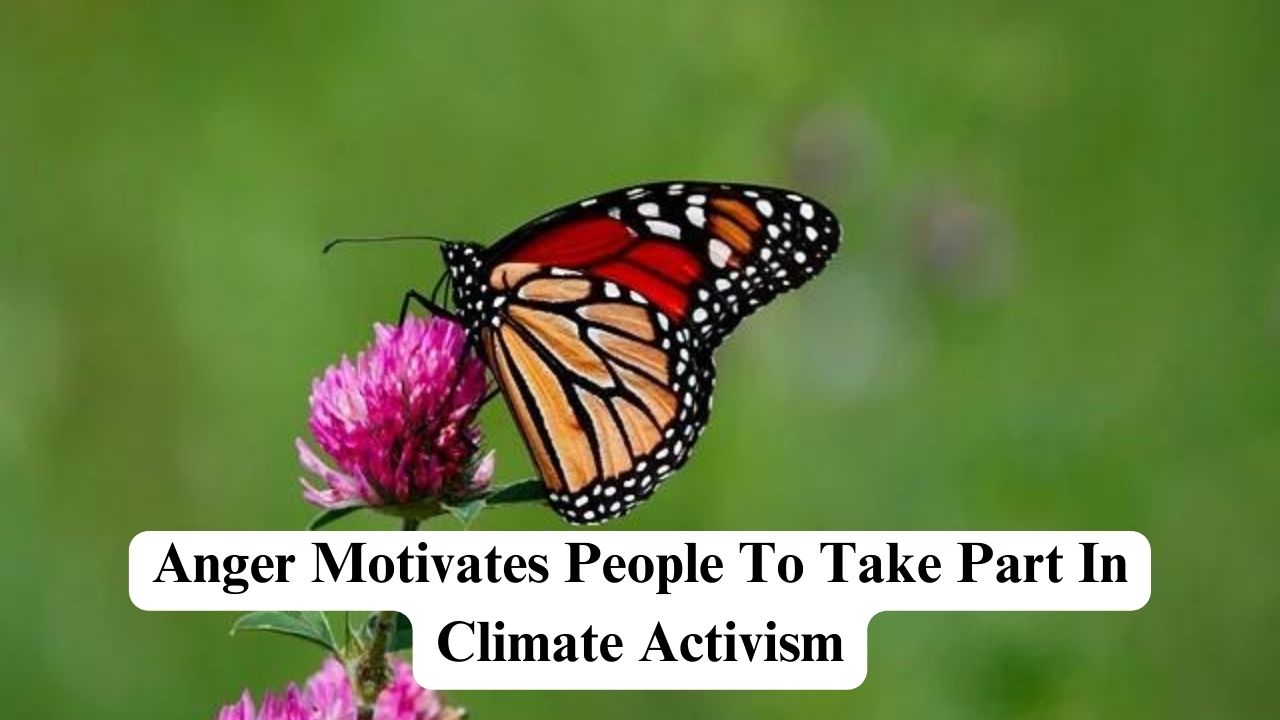 anger-motivates-people-to-take-part-in-climate-activism-nerdyinfo