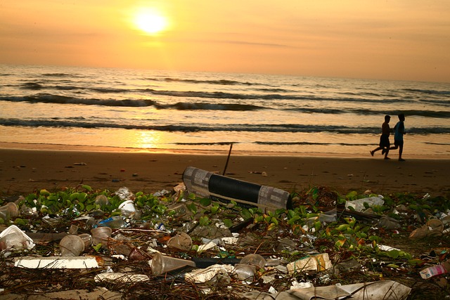 microplastics in soil 