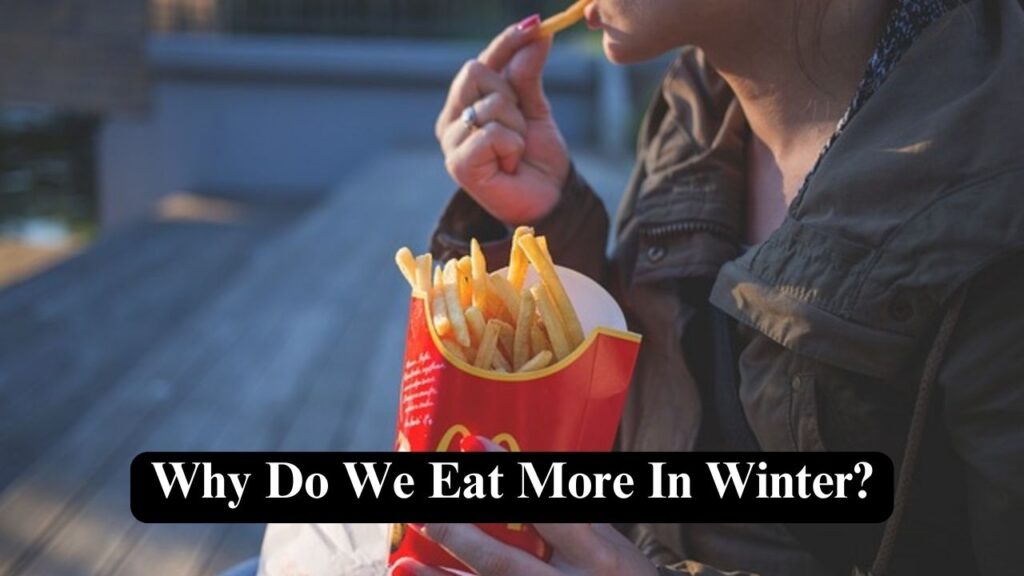 why-do-we-eat-more-in-winter-nerdyinfo