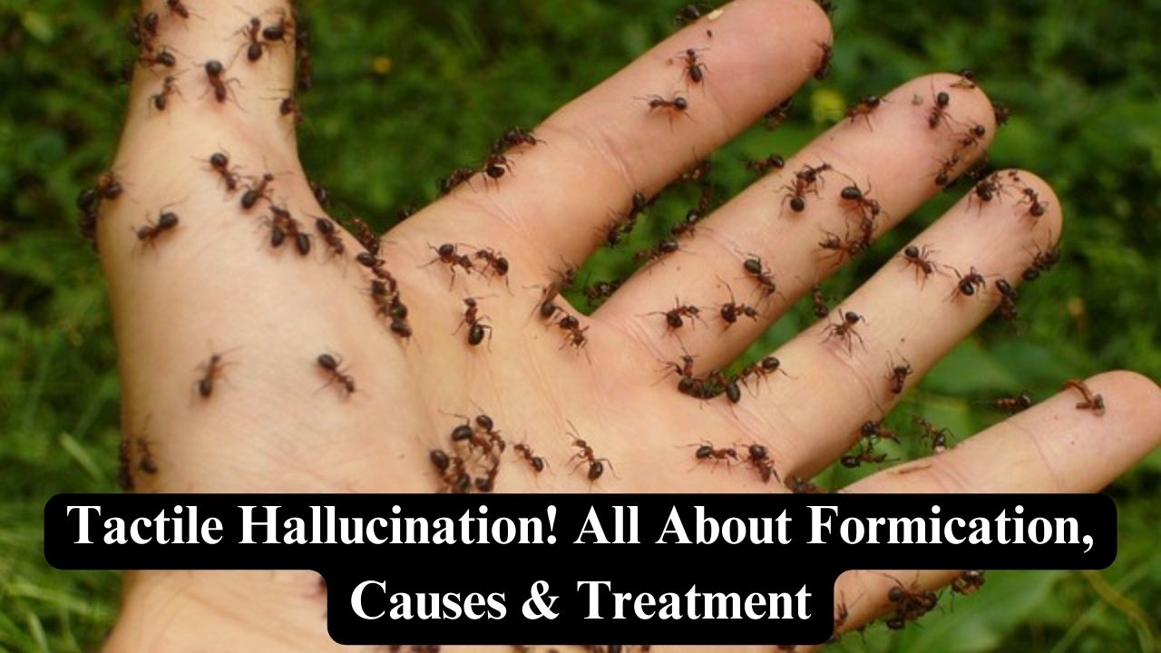 Tactile Hallucination! All About Formication, Causes & Treatment ...