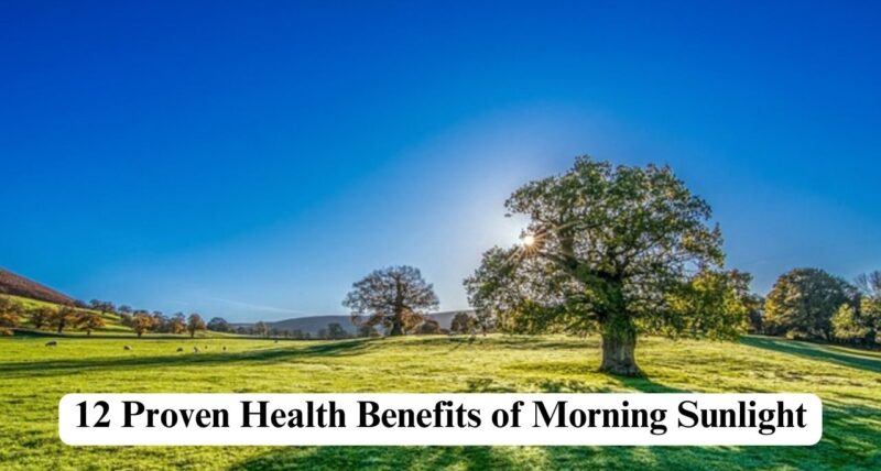 Health benefits of morning sunlight