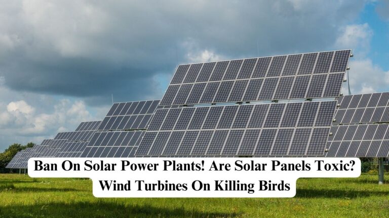 Ban On Solar Power Plants Are Solar Panels Toxic Wind Turbines On are-solar-panels-toxic-solar-panels-network-usa