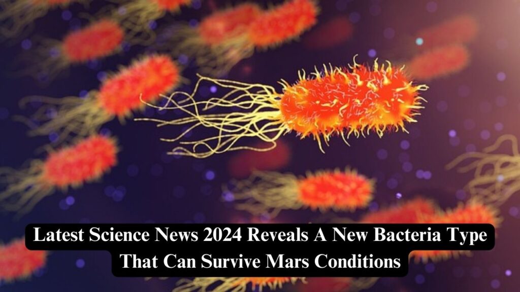 Latest Science News 2024 Reveals A New Bacteria Type That Can Survive