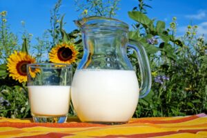 Osteoporosis Diet