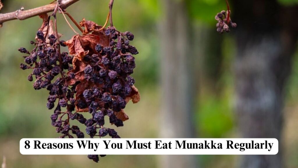 Munakka benefits