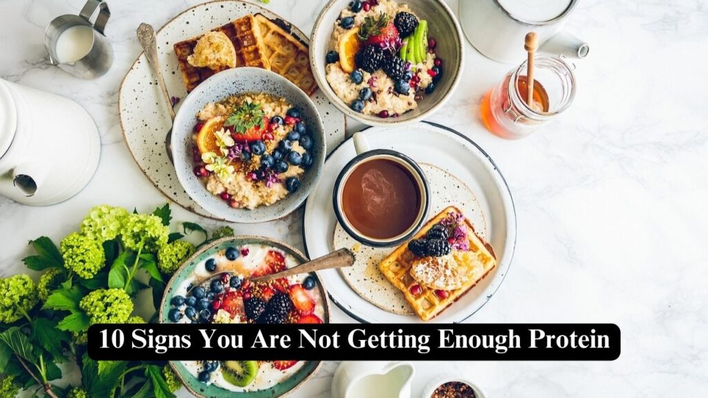 protein rich diet