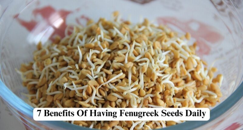 Benefits Of Fenugreek Seeds