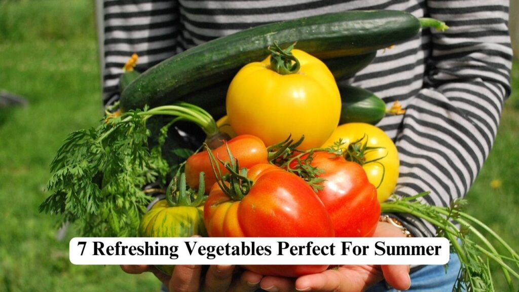 Vegetables For Summer
