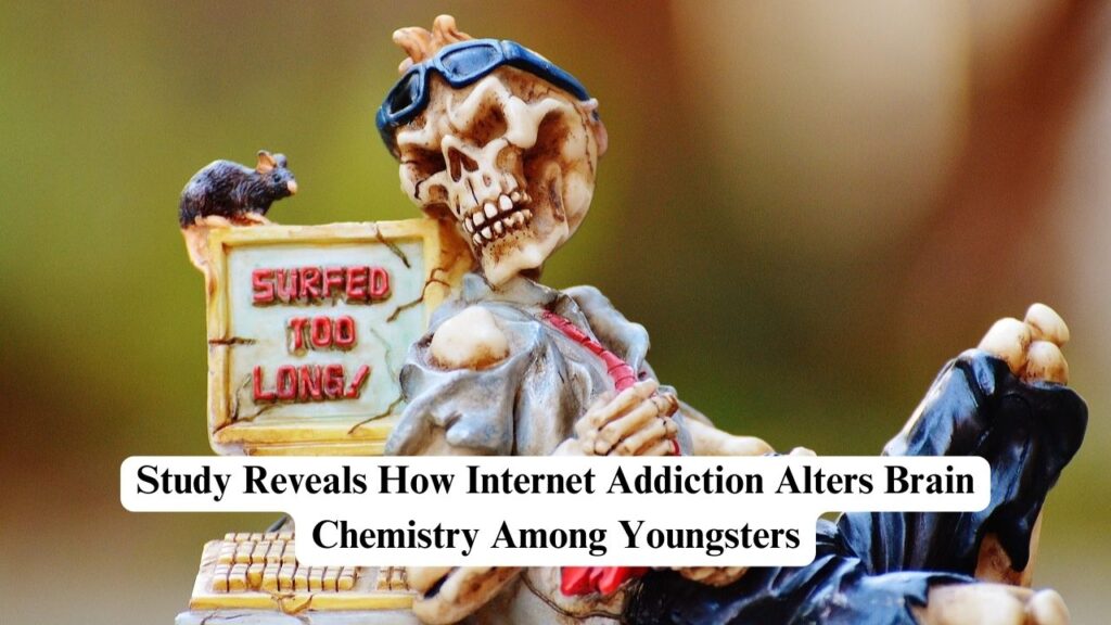 Internet Addiction Alters Brain Chemistry