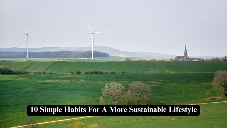 Image showcasing 10 Simple Habits For A More Sustainable Lifestyle - Nerdyinfo