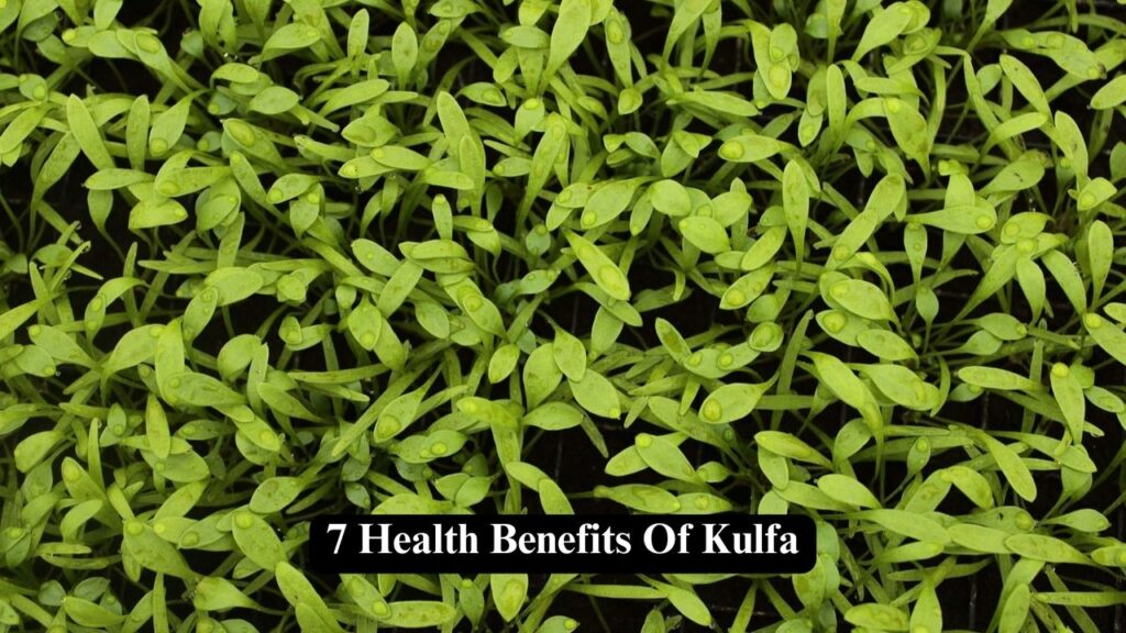 Health Benefits Of Kulfa