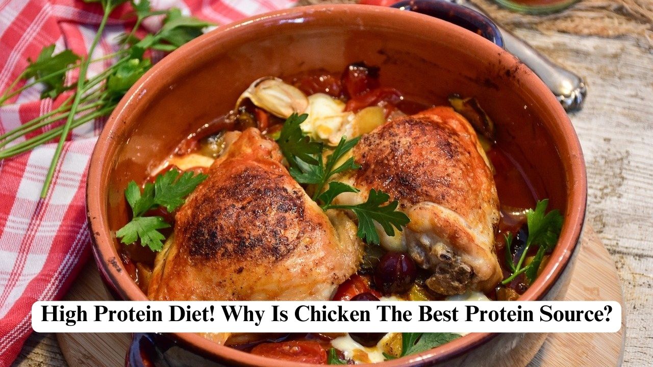 is chicken best source of protein