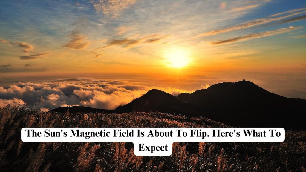 sun's magnetic field