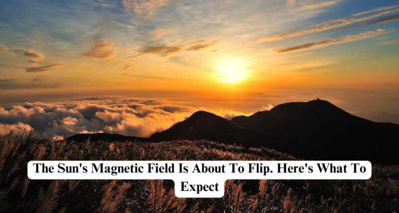 sun's magnetic field