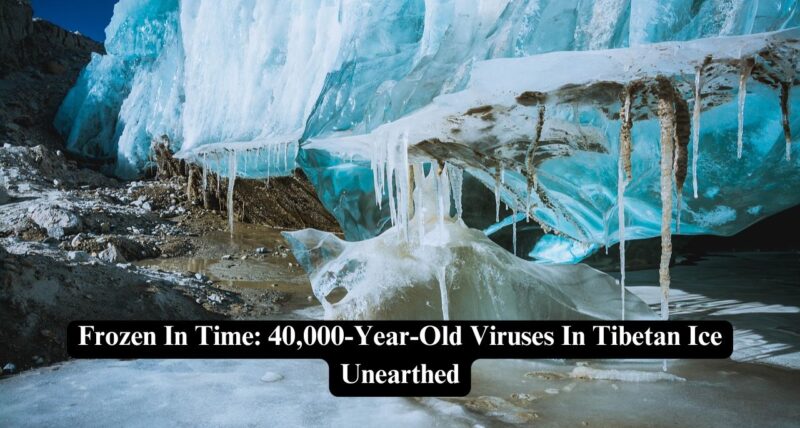 viruses in Tibetan ice