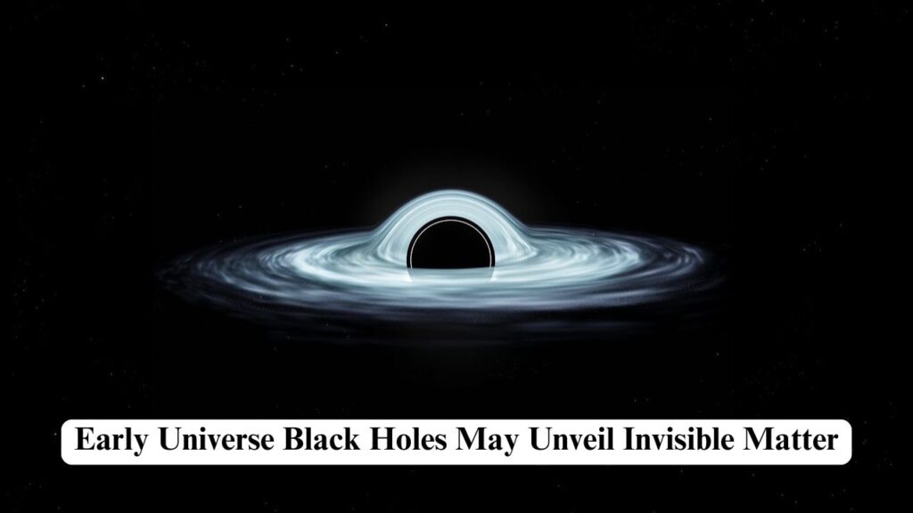 early universe black holes