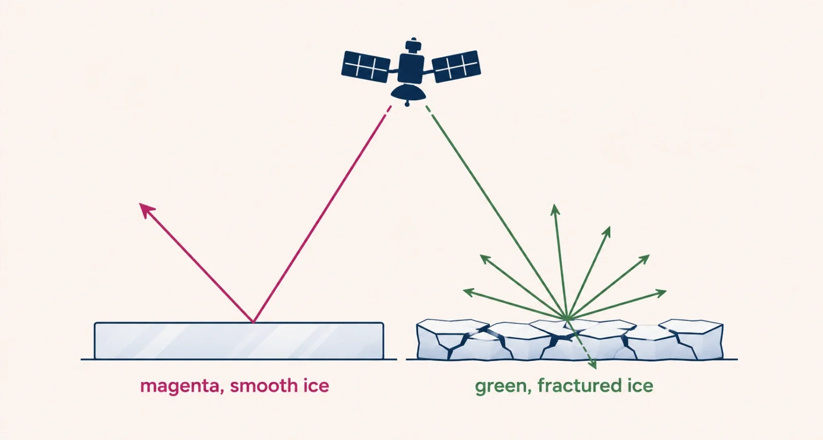 How NISAR radar signals reflect differently from smooth ice and crevasses