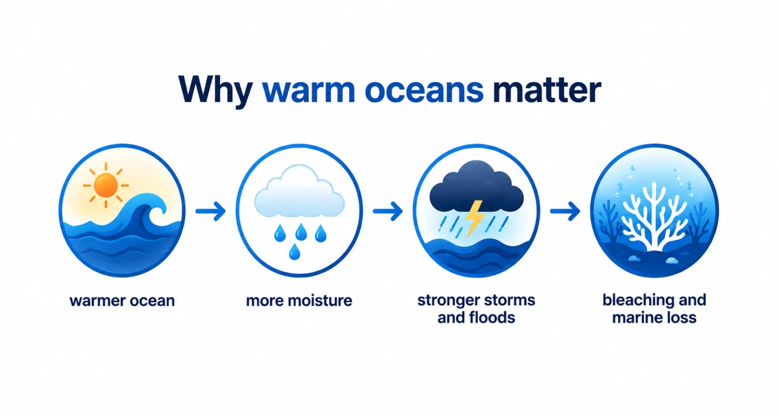 How record ocean temperatures drive storms and harm marine life
