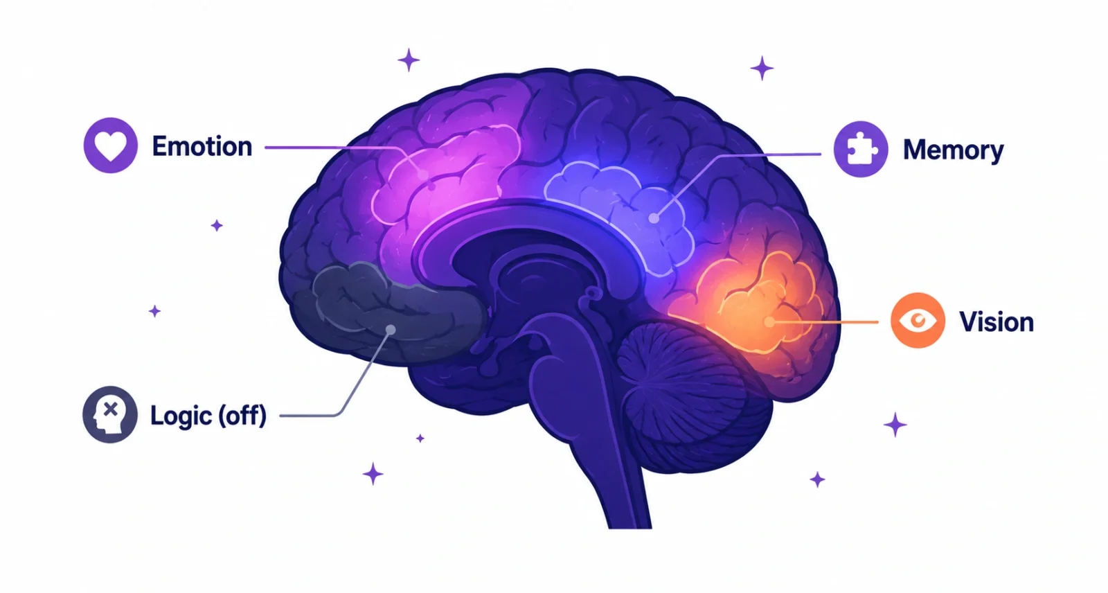 Why do we dream: the brain areas active during dreaming while logic switches off